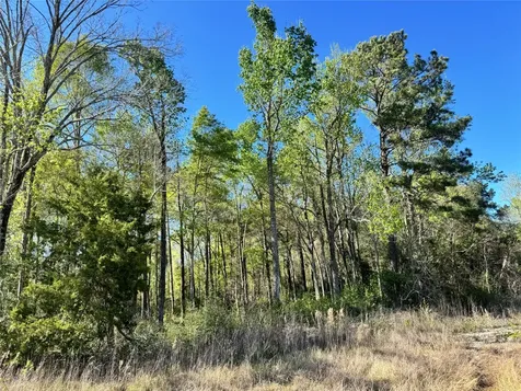 Tbd Railroad Avenue Shepherd TX 77371