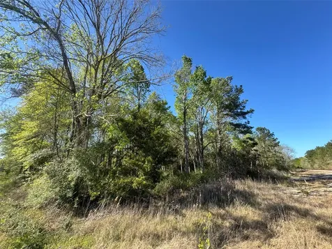 Tbd Railroad Avenue Shepherd TX 77371
