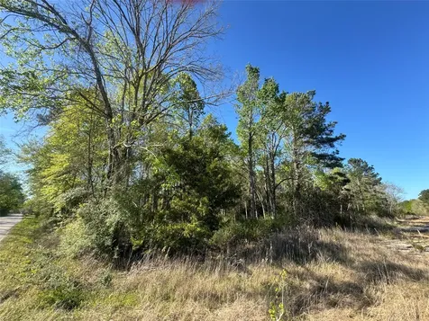 Tbd Railroad Avenue Shepherd TX 77371