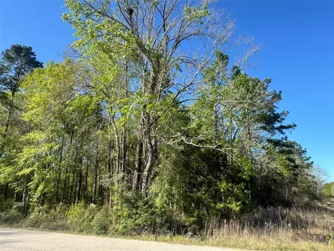 Tbd Railroad Avenue Shepherd TX 77371