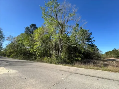 Tbd Railroad Avenue Shepherd TX 77371