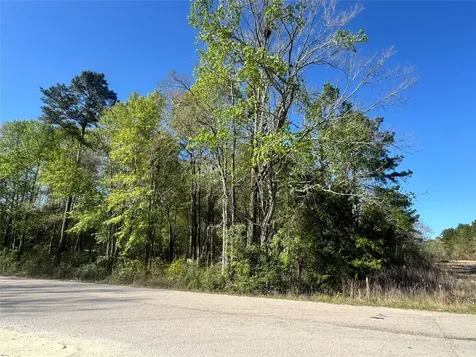 Tbd Railroad Avenue Shepherd TX 77371