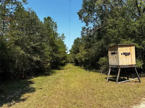 Tract 4 Trinity Lady Park Road Trinity TX 75862