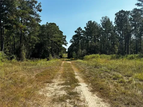 Tract 4 Trinity Lady Park Road Trinity TX 75862