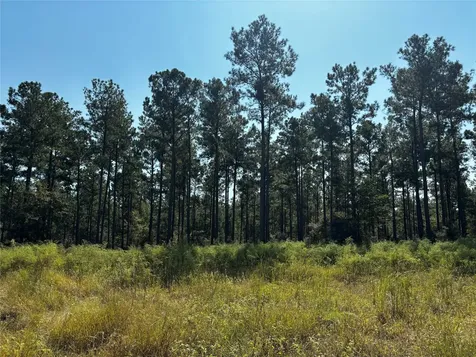 Tract 4 Trinity Lady Park Road Trinity TX 75862