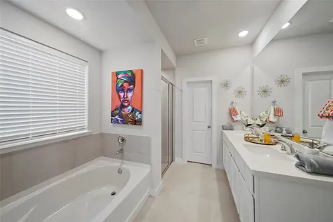 169 Emory Birch Drive Montgomery TX 77316