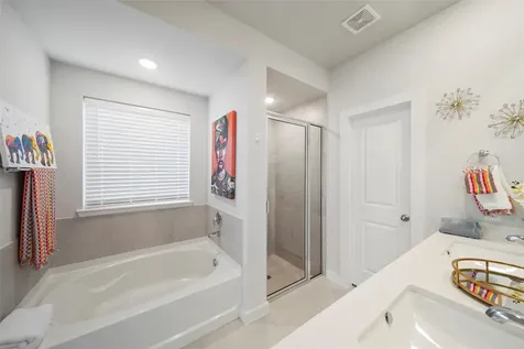 169 Emory Birch Drive Montgomery TX 77316