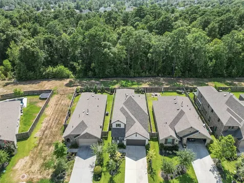 169 Emory Birch Drive Montgomery TX 77316