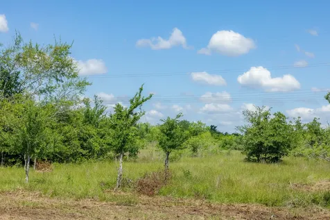 6549 Atakapan Trail Bedias TX 77831
