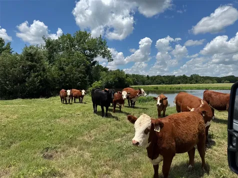3932 Fm 1245 Groesbeck TX 76642