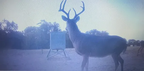 3932 Fm 1245 Groesbeck TX 76642