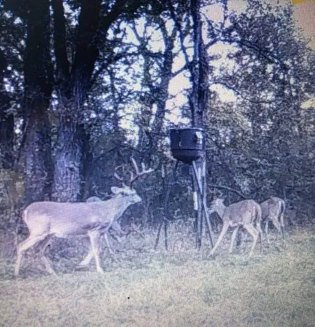 3932 Fm 1245 Groesbeck TX 76642
