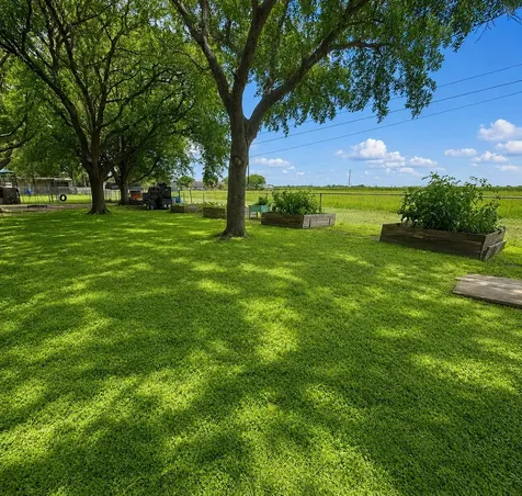 809 John Albert Drive East Bernard TX 77435