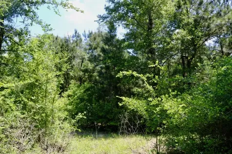 13553 County Road 446 Navasota TX 77868