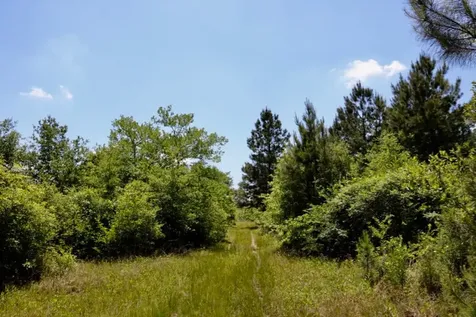 13553 County Road 446 Navasota TX 77868