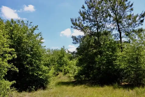 13553 County Road 446 Navasota TX 77868