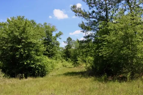 13553 County Road 446 Navasota TX 77868