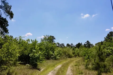 13553 County Road 446 Navasota TX 77868