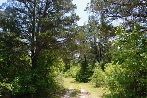 13553 County Road 446 Navasota TX 77868