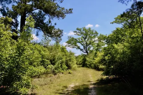 13553 County Road 446 Navasota TX 77868