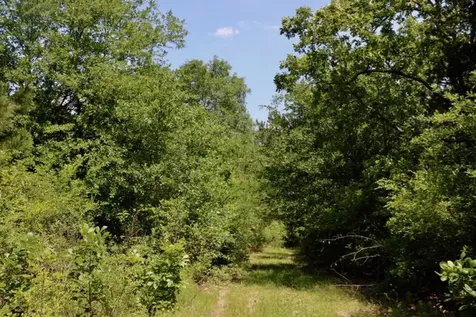 13553 County Road 446 Navasota TX 77868