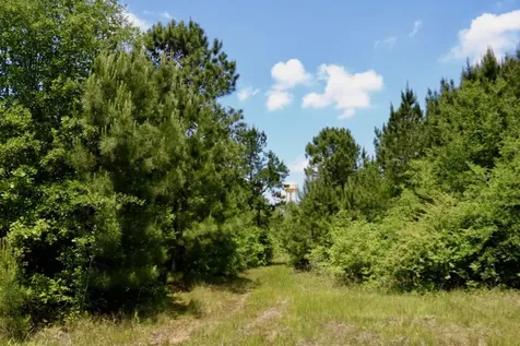 13553 County Road 446 Navasota TX 77868