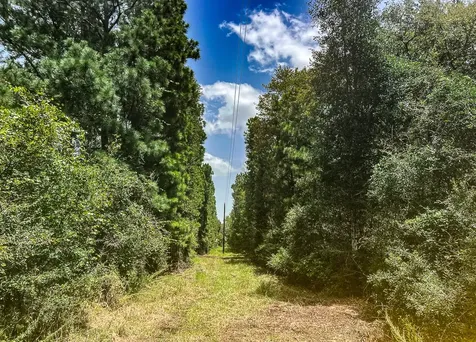 13553 County Road 446 Navasota TX 77868