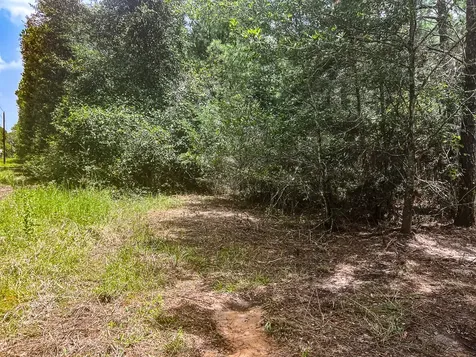 13553 County Road 446 Navasota TX 77868