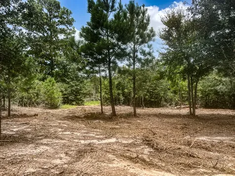 13553 County Road 446 Navasota TX 77868