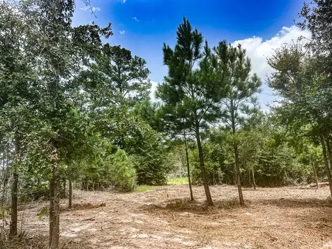 13553 County Road 446 Navasota TX 77868