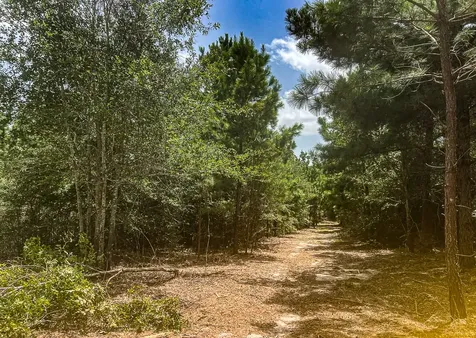 13553 County Road 446 Navasota TX 77868