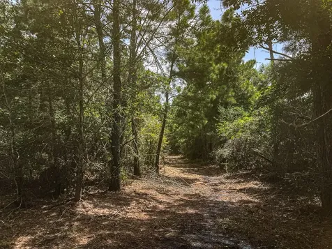 13553 County Road 446 Navasota TX 77868