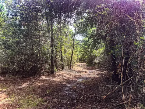 13553 County Road 446 Navasota TX 77868