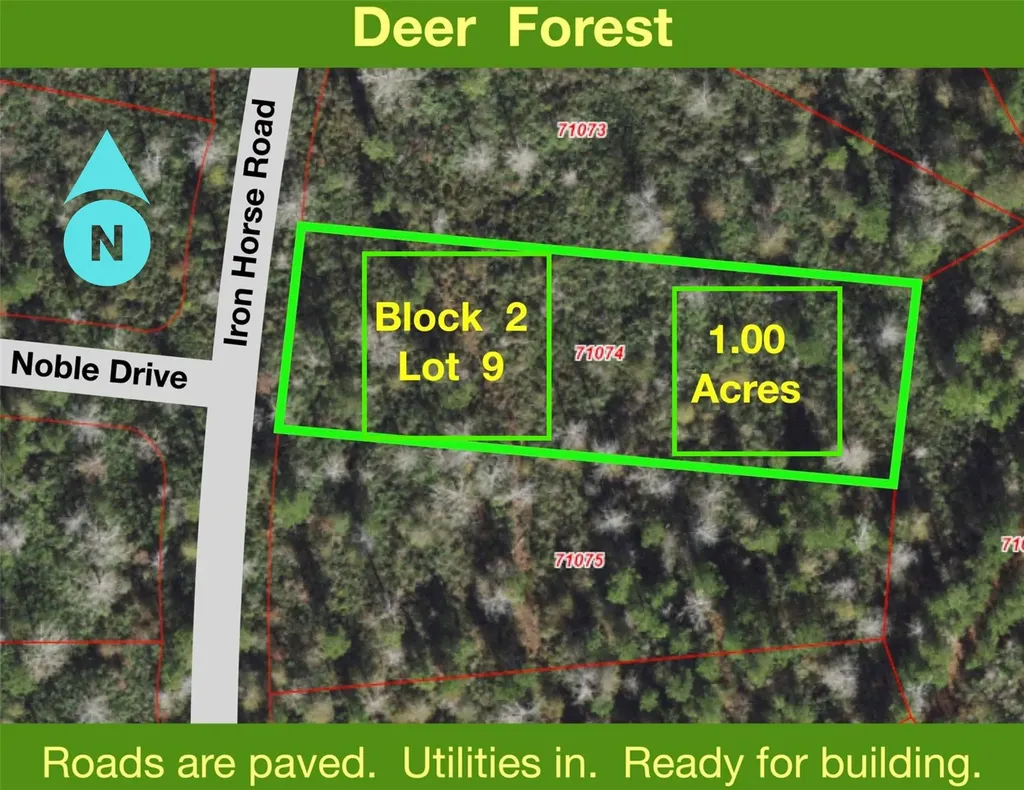 242 Iron Horse Road New Waverly TX 77358