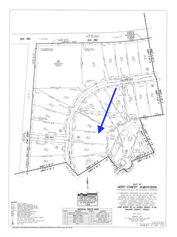 242 Iron Horse Road New Waverly TX 77358