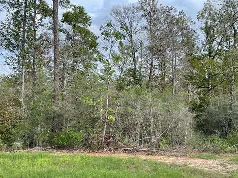 242 Iron Horse Road New Waverly TX 77358