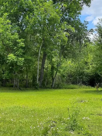 0 Elm Cr 825c Street West Columbia TX 77486