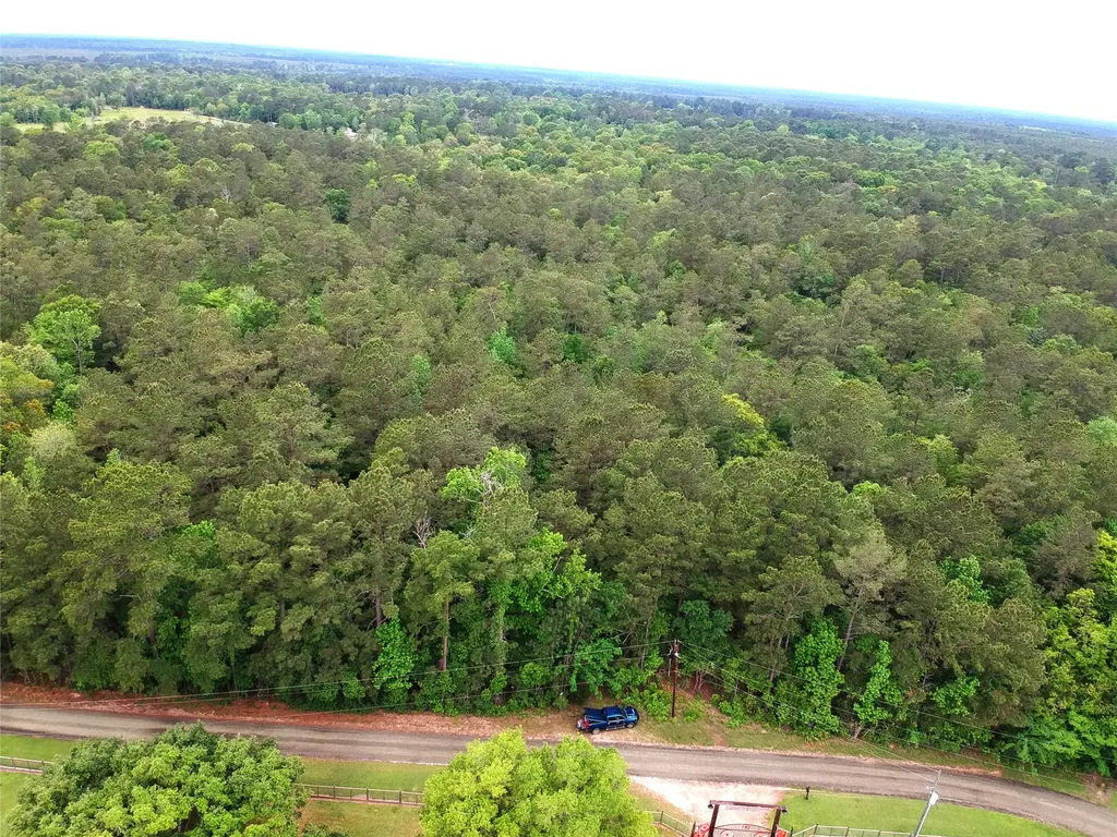 16.7 Acres Co Road 1375 Warren TX 77664