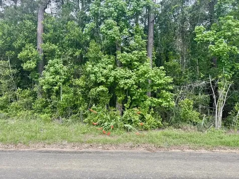 16.7 Acres Co Road 1375 Warren TX 77664