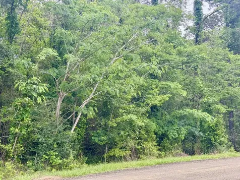 16.7 Acres Co Road 1375 Warren TX 77664