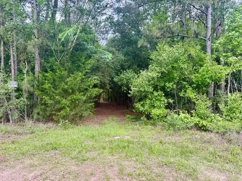 16.7 Acres Co Road 1375 Warren TX 77664