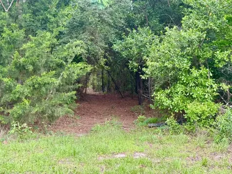 16.7 Acres Co Road 1375 Warren TX 77664