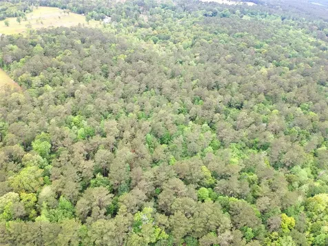 16.7 Acres Co Road 1375 Warren TX 77664
