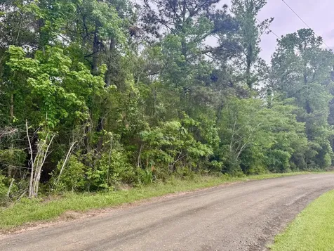16.7 Acres Co Road 1375 Warren TX 77664