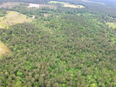 16.7 Acres Co Road 1375 Warren TX 77664