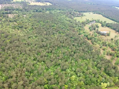 16.7 Acres Co Road 1375 Warren TX 77664