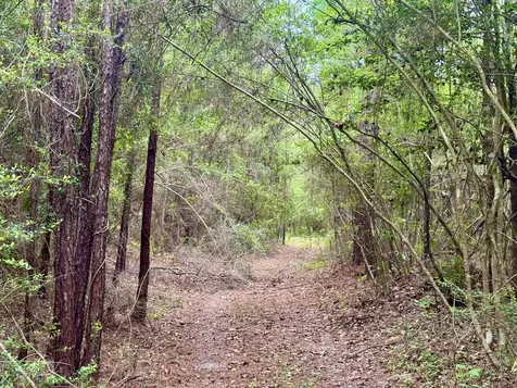 16.7 Acres Co Road 1375 Warren TX 77664