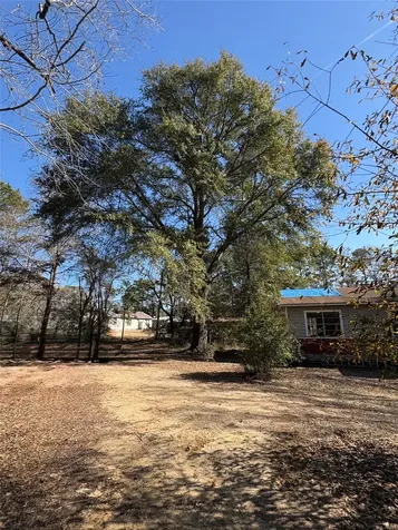 188 Hant Hill Road Livingston TX 77351