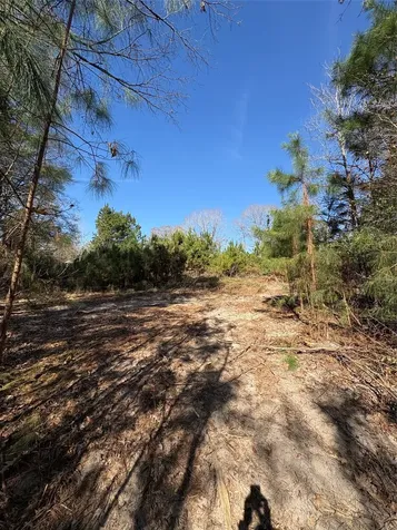 188 Hant Hill Road Livingston TX 77351