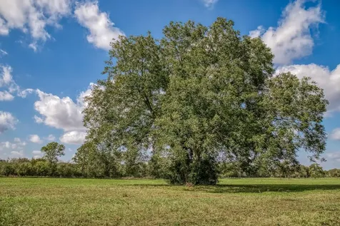 000 Sun Oil Road Brenham TX 77833